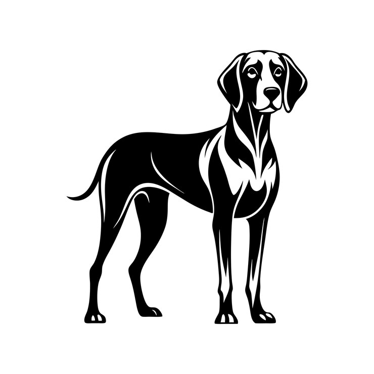 Desenho de logotipo de silhueta vetorial de Weimaraner em preto e branco