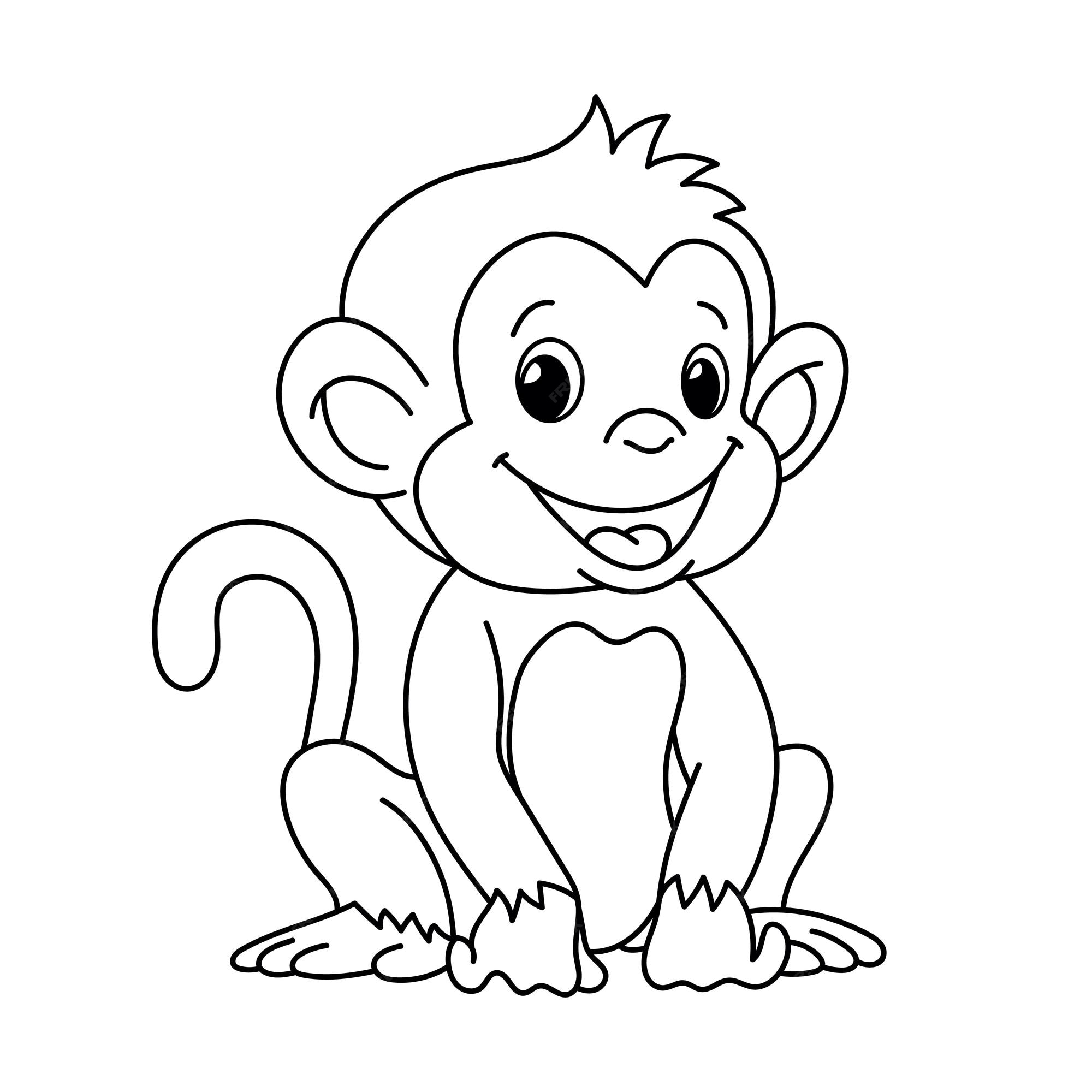 Macacos para colorir em 2023  Páginas para colorir, Desenhos