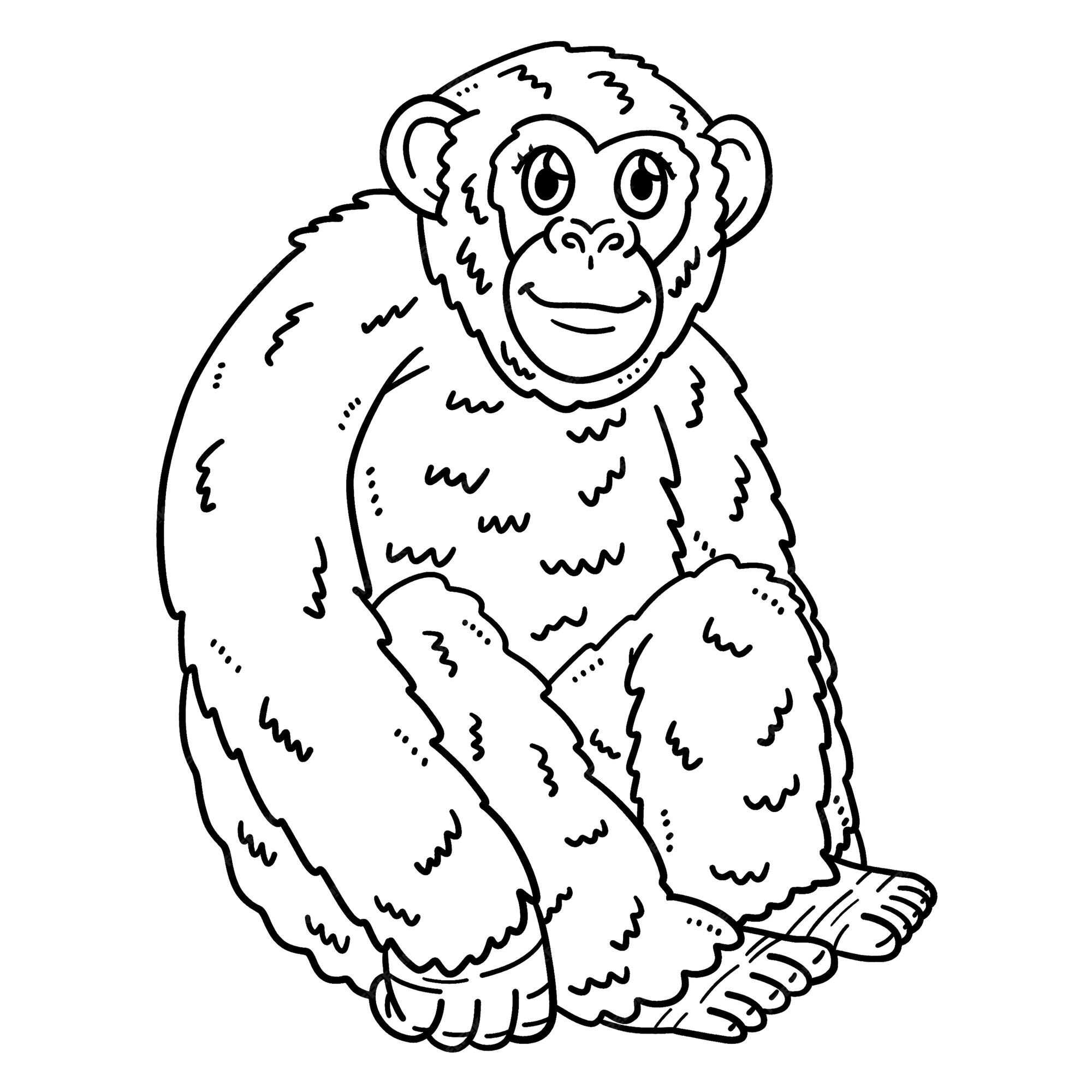 Desenho De Macaco Animal Isolado Página Para Colorir Crianças Gráfico  Criança Chimpanzé Vetor PNG , Desenho De Animais, Desenho De Macaco, Desenho  Chave Imagem PNG e Vetor Para Download Gratuito