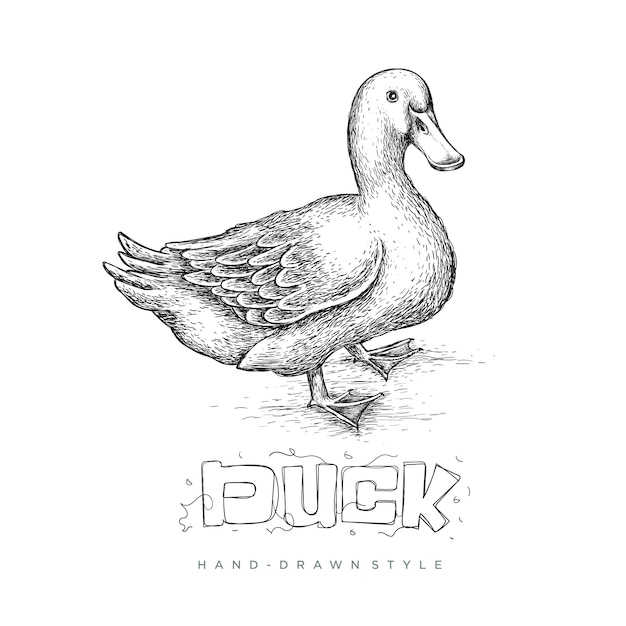 desenho de mão de pato, ilustração animal parece realista, preto e branco abstrato