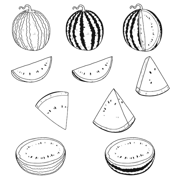Vetor desenho de melancia isolado no branco