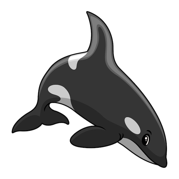 Vetor desenho de orca bonito nadando