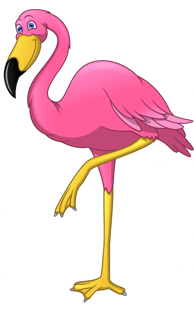 Desenho de pássaro Flamingo bonito