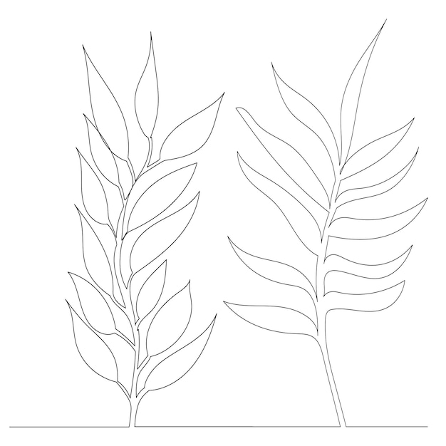 Desenho de plantas por linha contínua, esboço