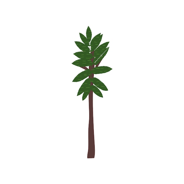 Desenho de rabiscos de palma de colagem elemento verde ecológico de árvore única folha lindamente moldada ilustração vetorial plana desenhada à mão em estilo cartoon