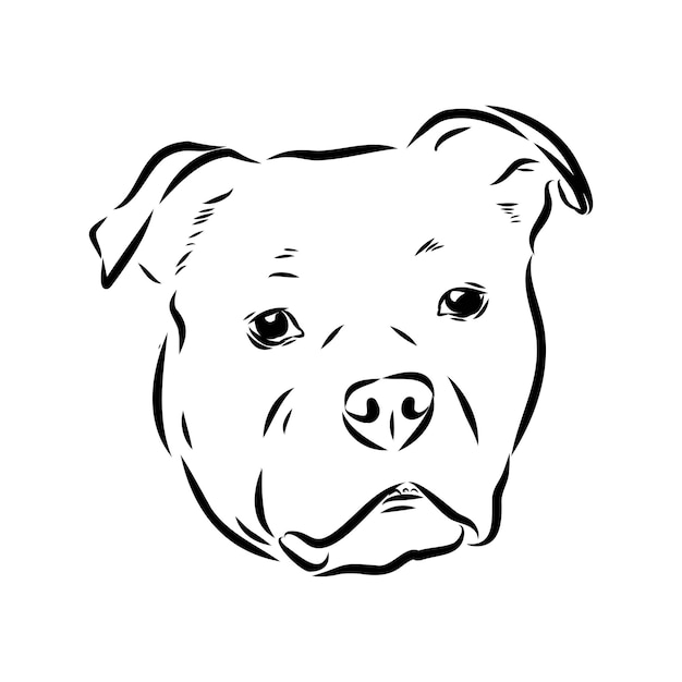 Desenho de silhueta de bulldog de sangue azul de Alapaha