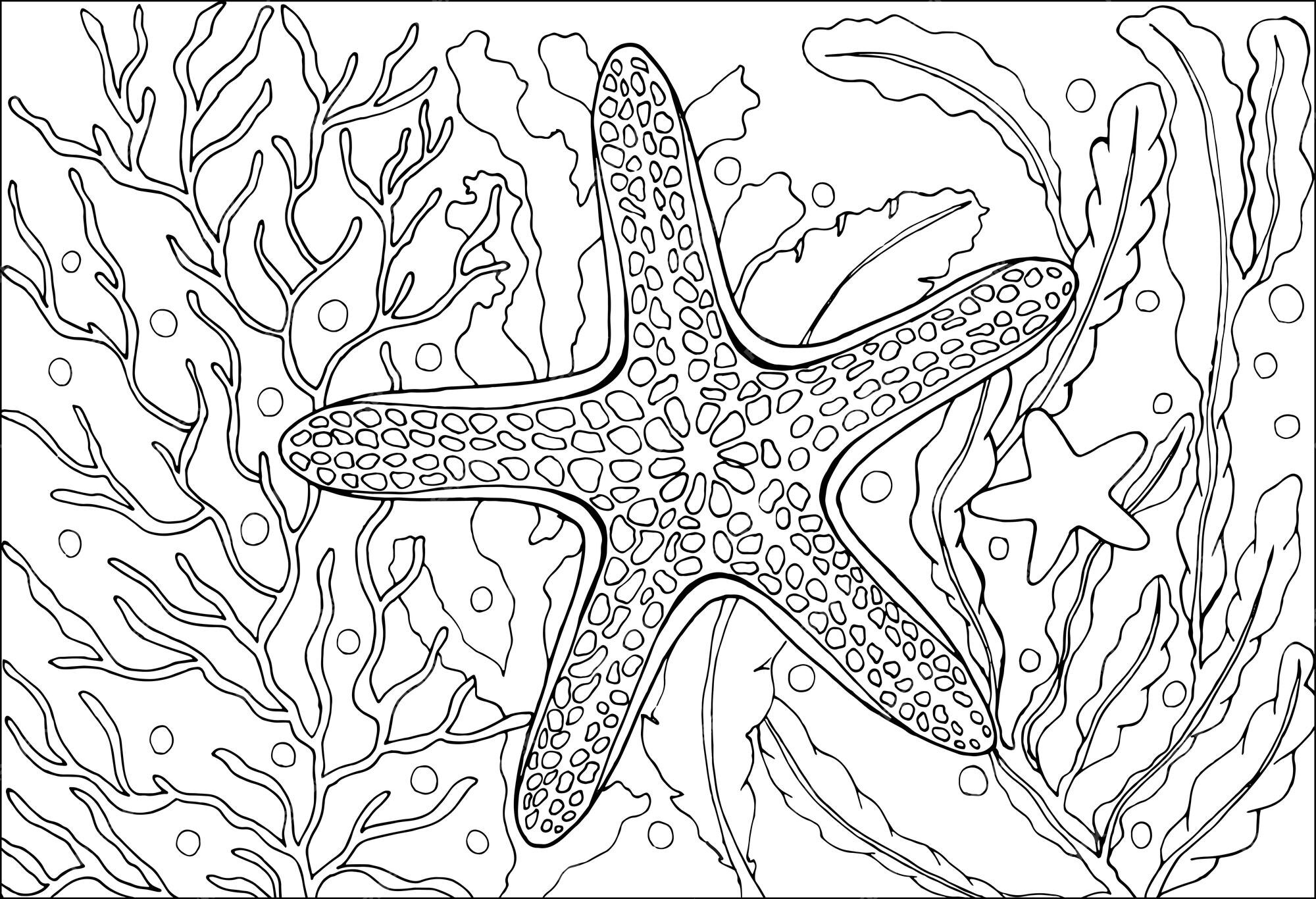 100 Desenhos de Estrela para Colorir e Imprimir Muito Fácil - Desenho Básico