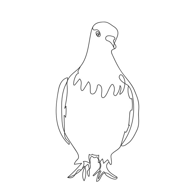 Desenho de uma linha de pombo uma linda pomba calma caminhando ao longo da estrada vetor preto e branco