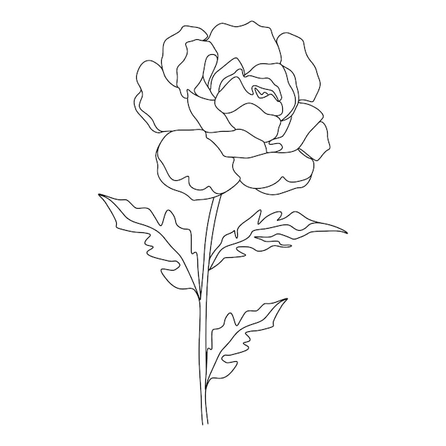 Desenho de uma linha ilustração minimalista de flores em estilo de linha de arte