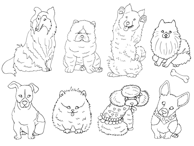 Cachorros e pets fofinhos e bonitinhos, desenhos para colorir