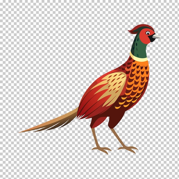Desenho de vetores de aves