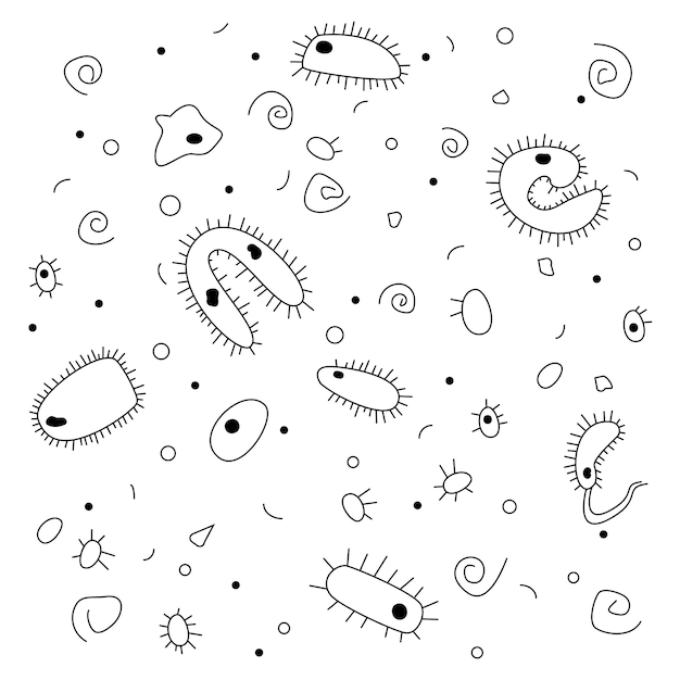 Desenho desenhado à mão estilo Doodle Bactérias pretas e brancas em um fundo branco