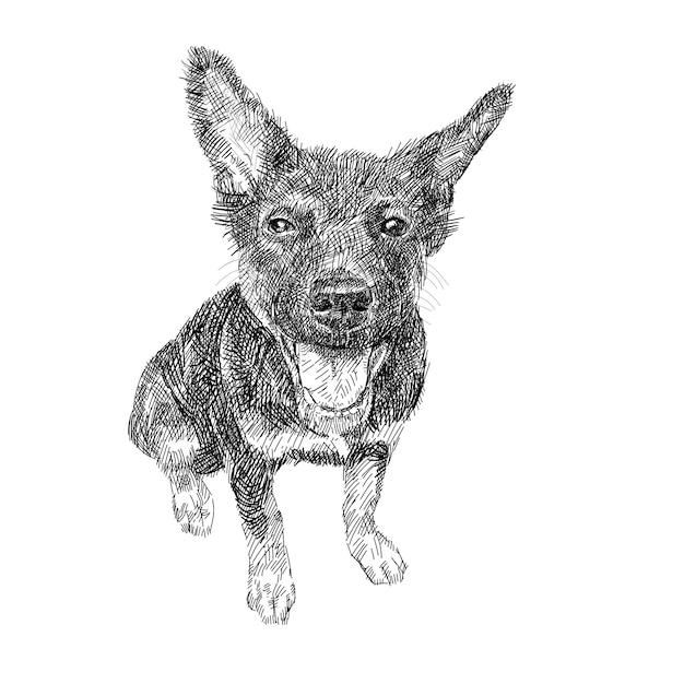 Desenho do cão preto que senta-se no fundo branco.