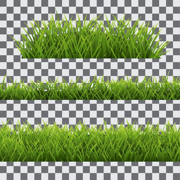 Desenho do vetor de grama verde