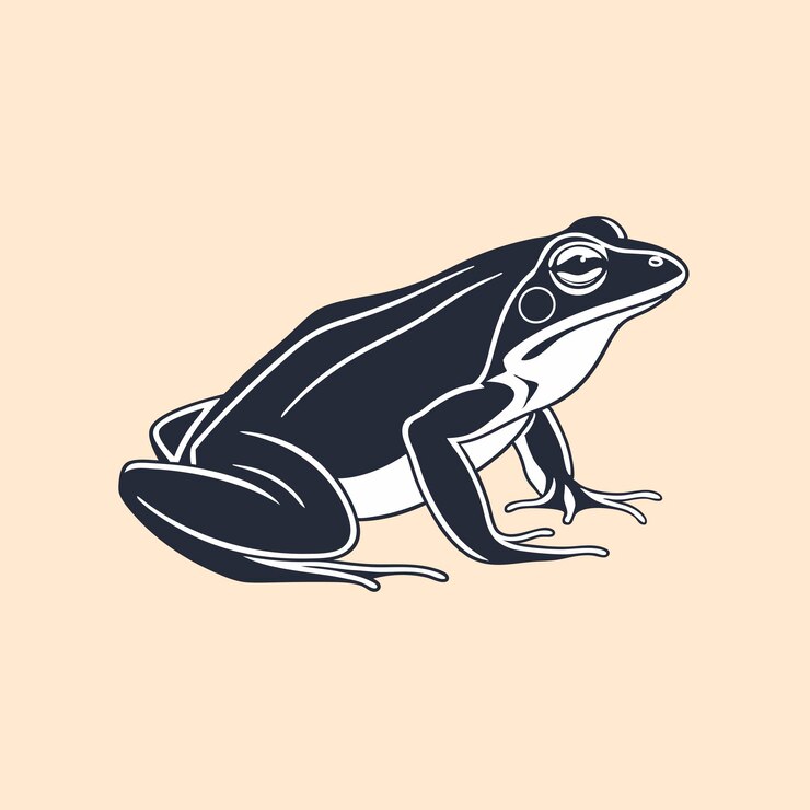 Vetor desenho do vetor sapo