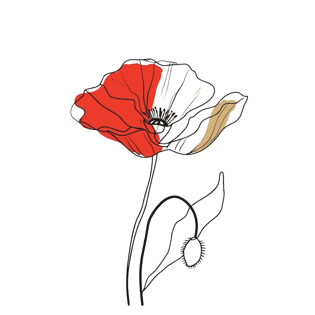 Desenho elegante de uma flor de papoula selvagem para convites e cartões