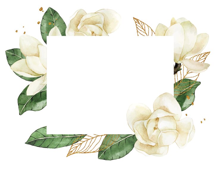 Vetor desenho em aquarela. moldura retangular com flores brancas e folhas de magnólia e elementos dourados.