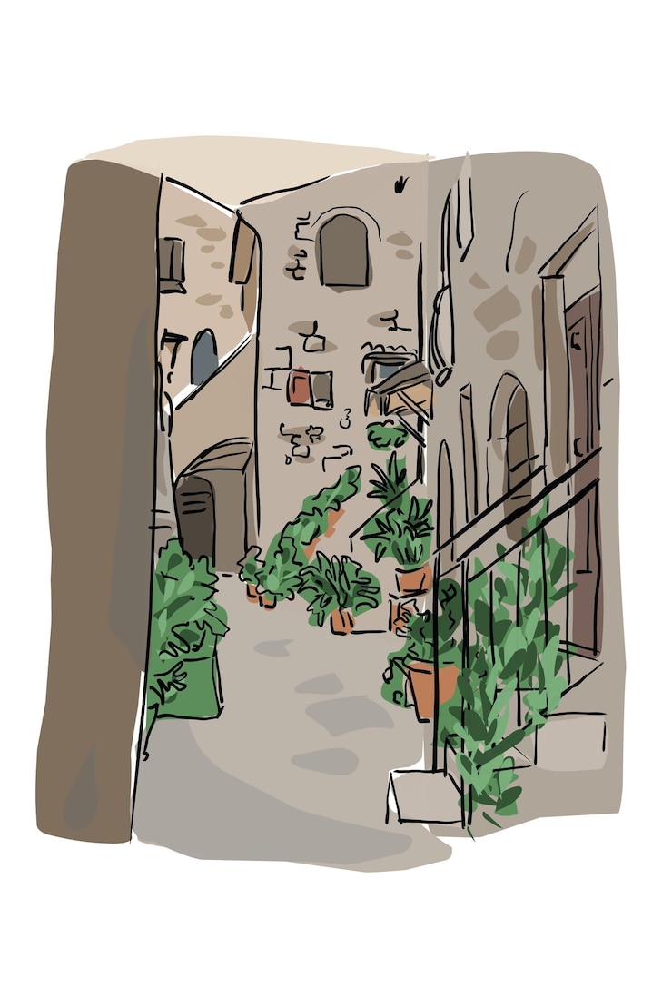 Vetor desenho ilustração cidade velha plantas verdes janela marrom rua casa