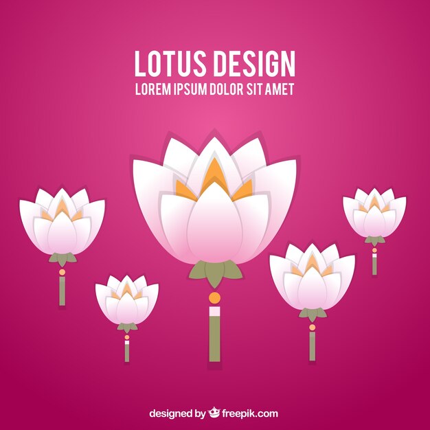 Desenho lotus