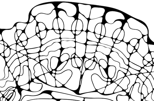 Vetor desenho neurográfico preto e branco