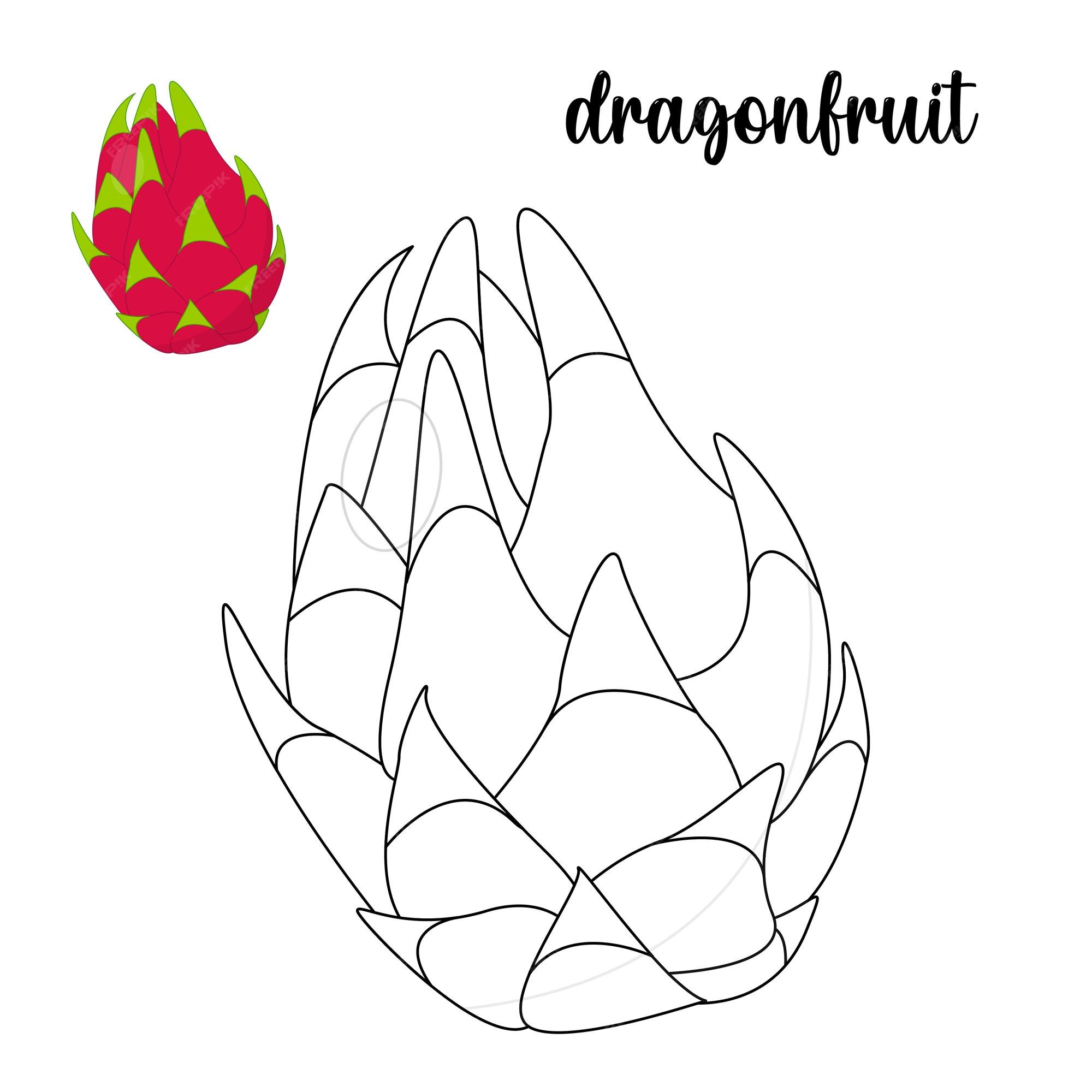 Desenhos de frutas do dragão para colorir - Páginas para colorir