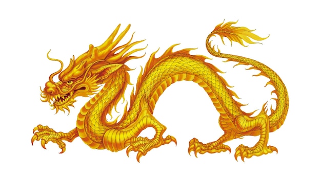 desenho plano de dragão chinês vector desenho animado detalhado
