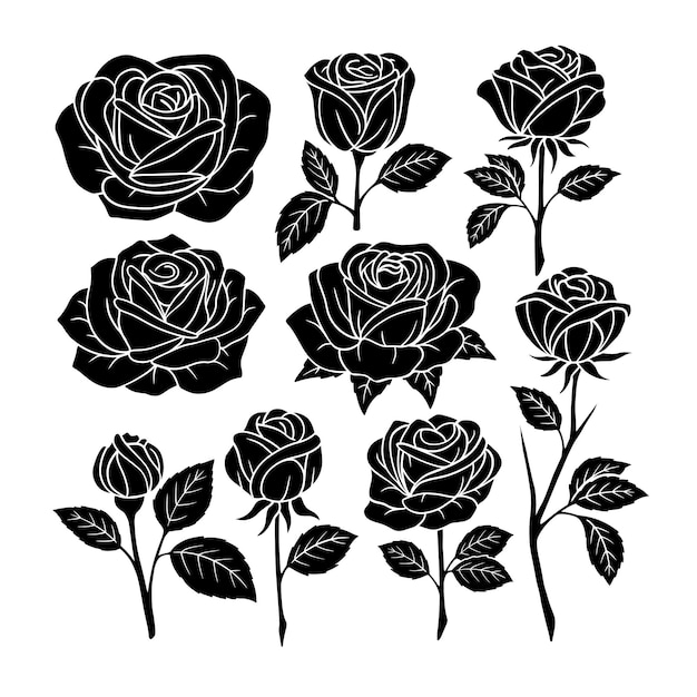 Desenho plano vetorial rosas silhueta fundo branco