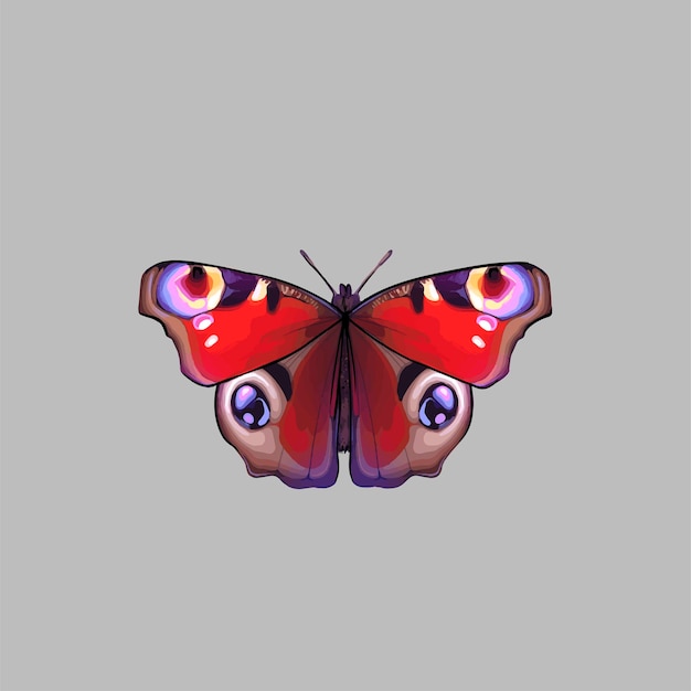 desenho realista vetorial de linda borboleta, borboleta monarca, mariposa