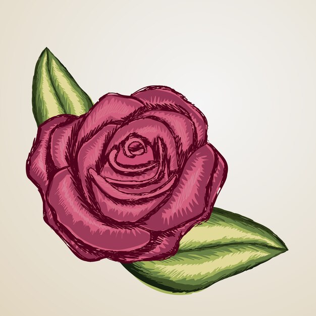 Vetor desenho rosa