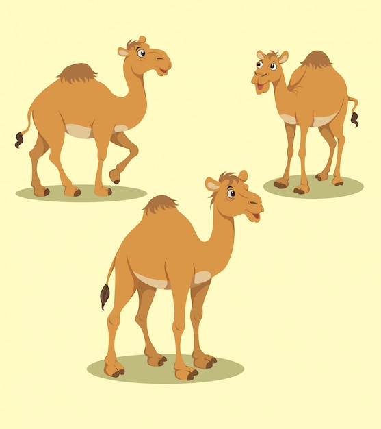 Vetor desenho vetorial camelo