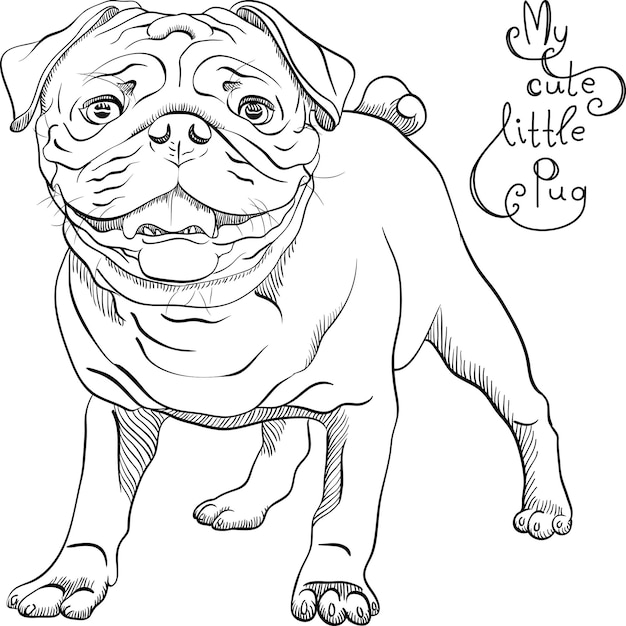 Vetor desenho vetorial, cão fofo, raça pug preto