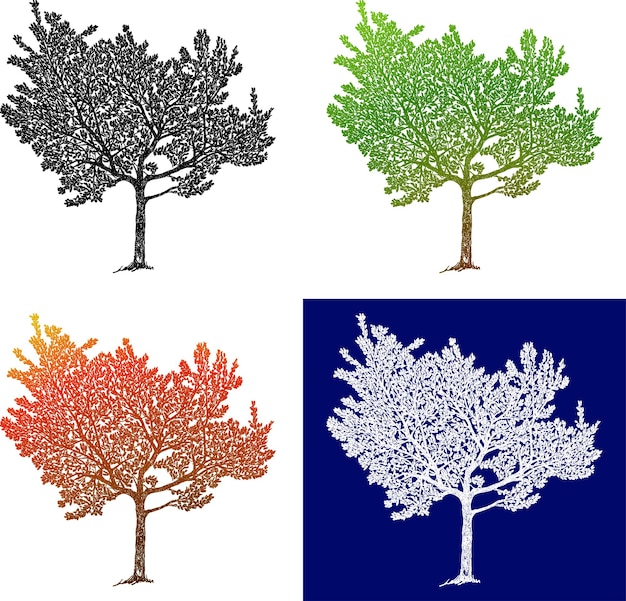 Desenho vetorial de árvore de folha caduca silhueta em várias estações