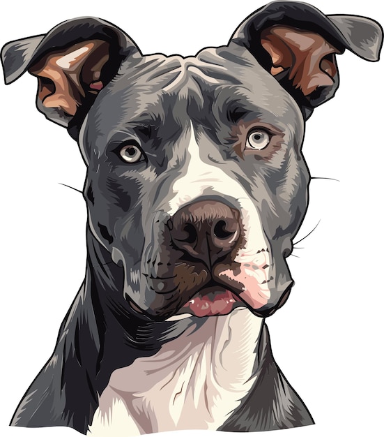 Desenho vetorial de desenho animado de bulldog americano