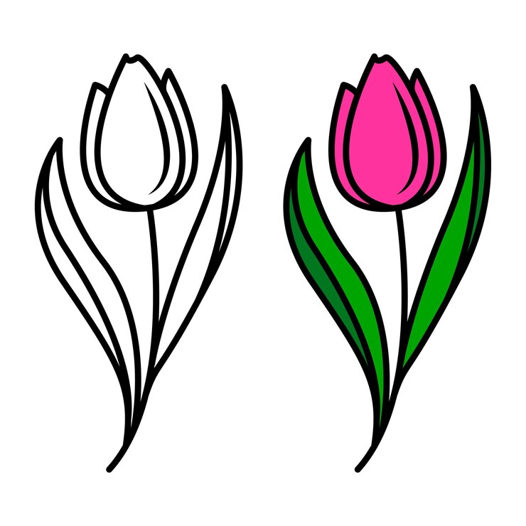 Vetor desenho vetorial de elemento floral isolado de flores de tulipa no estilo doodle