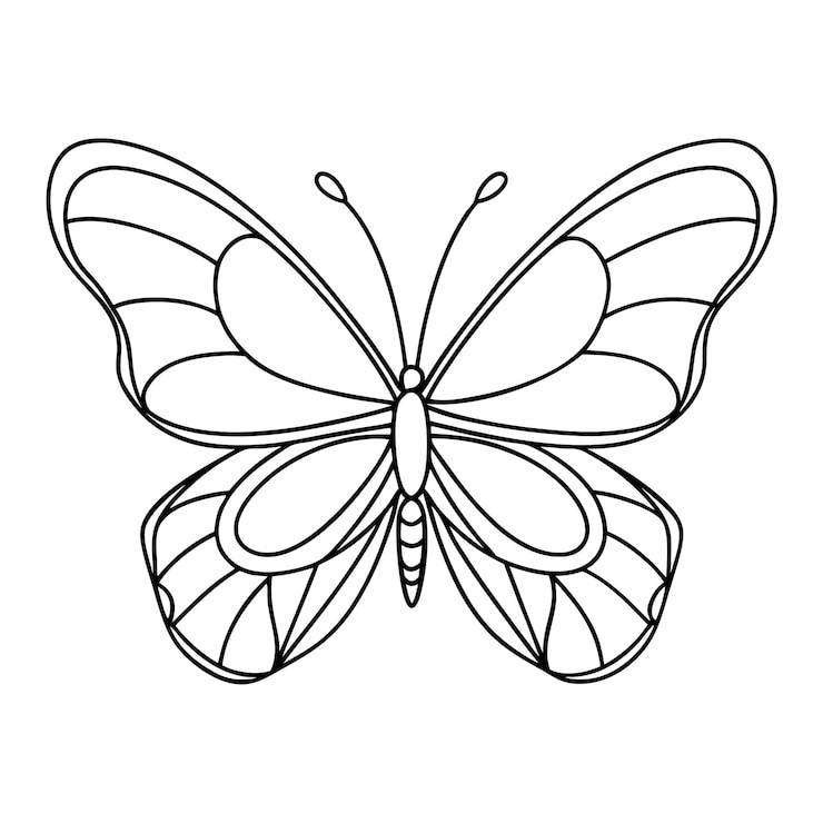 Vetor desenho vetorial de linha de arte de coleção de borboletas bonitas