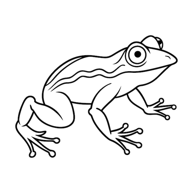 desenho vetorial de silhueta de arte de linha de rãs