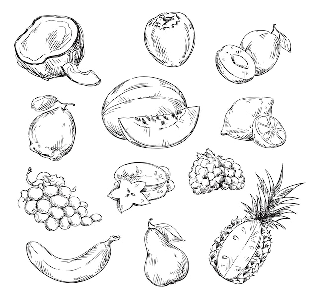 Desenho vetorial de várias frutas