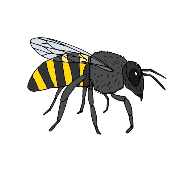 Desenho vetorial desenhado à mão doodle abelha colorida