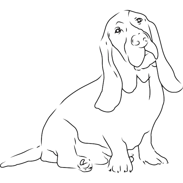 Desenho vetorial esboçado à mão de cão basset hound