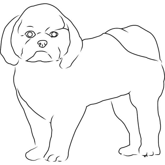 Desenho vetorial esboçado à mão do cão shih tzu