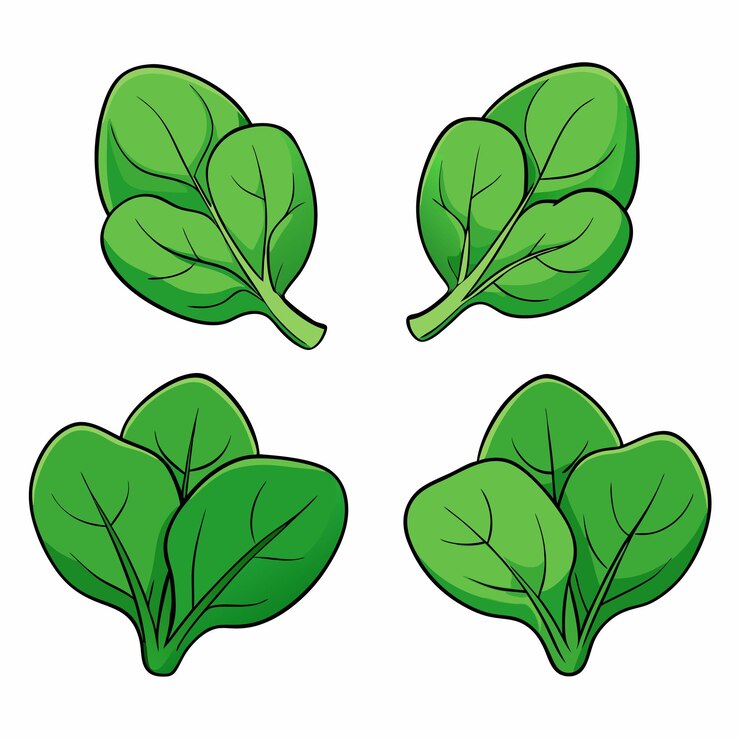 Vetor desenho vetorial plano de espinafre ilustração em fundo branco