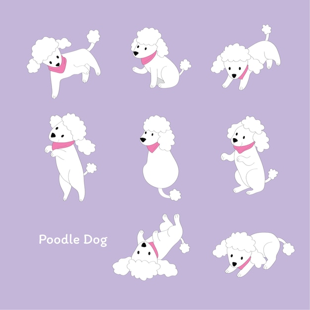 Vetor desenhos animados cute ações white poodle