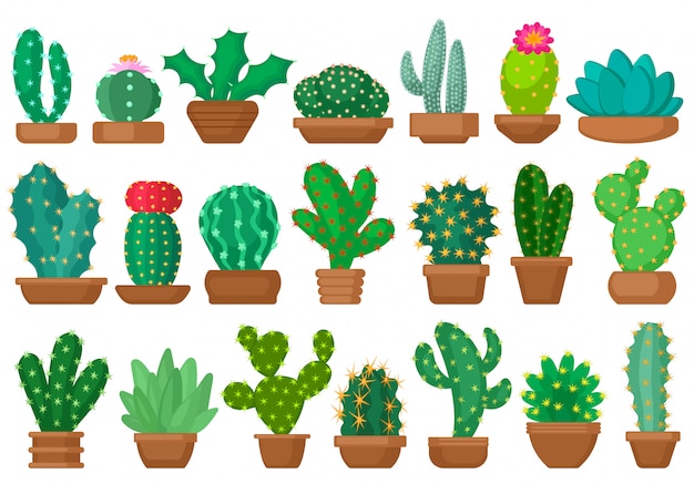 Vetor desenhos animados de cactos de planta doméstica definir ícone. cacto de ilustração em fundo branco. desenhos animados isolados conjunto cactos de plantas de casa.