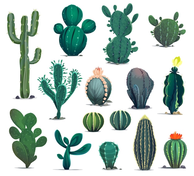 Cactus Deserto Planta Flor Flora Cactos De Desenhos Animados Suculentos.  Planta De Cactos Espinhoso Espinhoso Espinhoso. Deserto Mexicano Tropical  Cacto Verão Jardim Planta. Houseplant Vetor Exótico Cacto Verde Flor  Deserto. Royalty Free