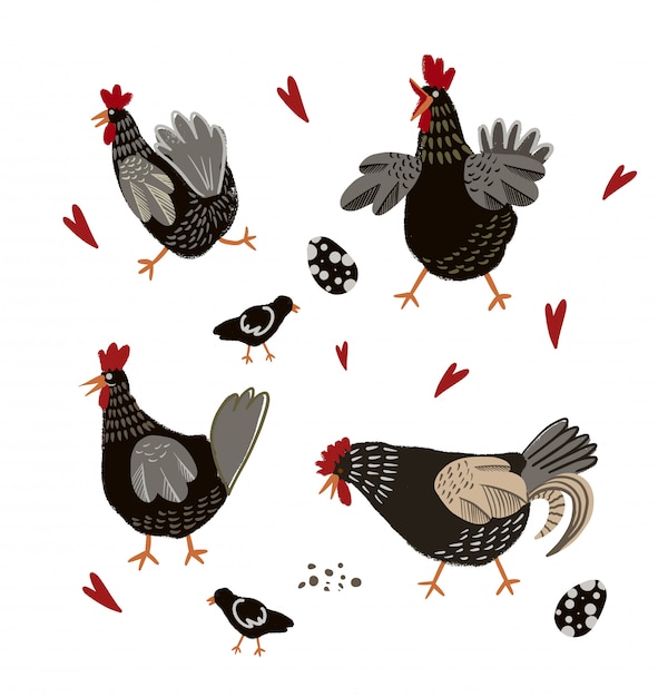 Desenhos animados de frango e ovos isolados.