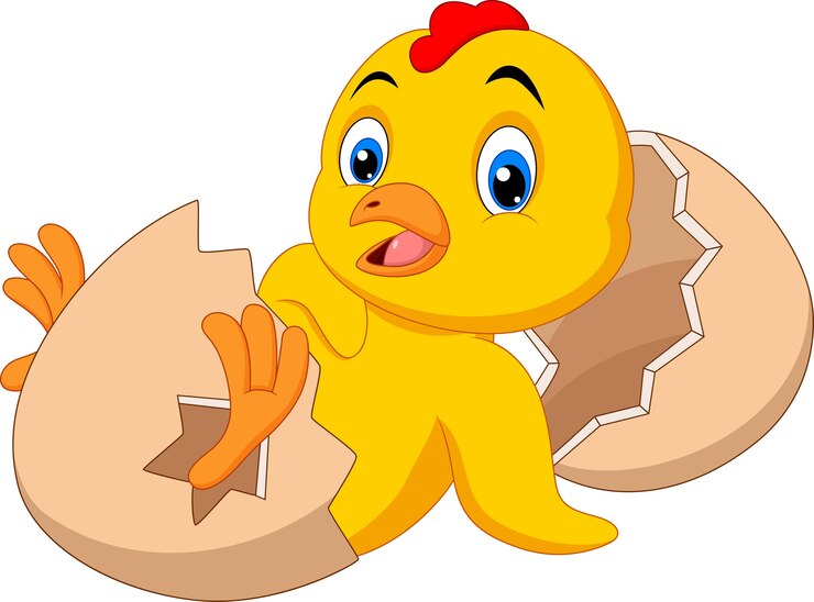 Vetor desenhos animados de frango na panela