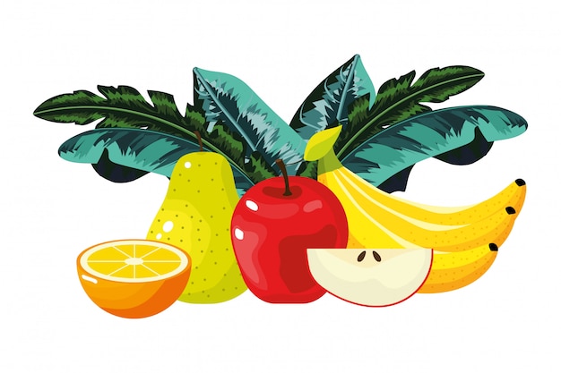 Desenhos animados de frutas tropicais