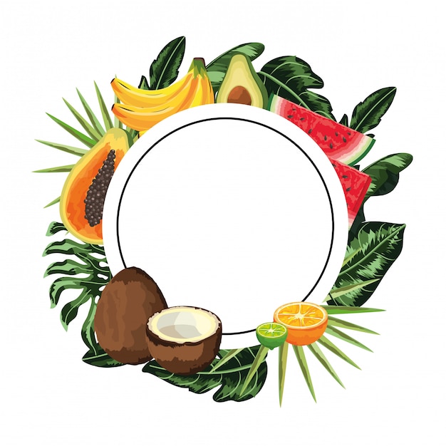 Desenhos animados de frutas tropicais