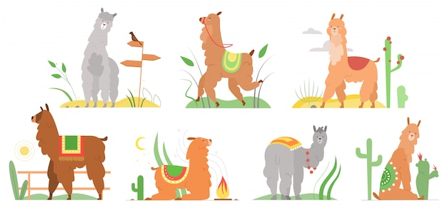 Desenhos animados ilustrações planas lama. personagens de alpaca lhamas bonitinho sorrindo, andando, pulando, dormindo na paisagem do deserto de peru com cactos. coleção de animais lama engraçado mexicano isolada no branco