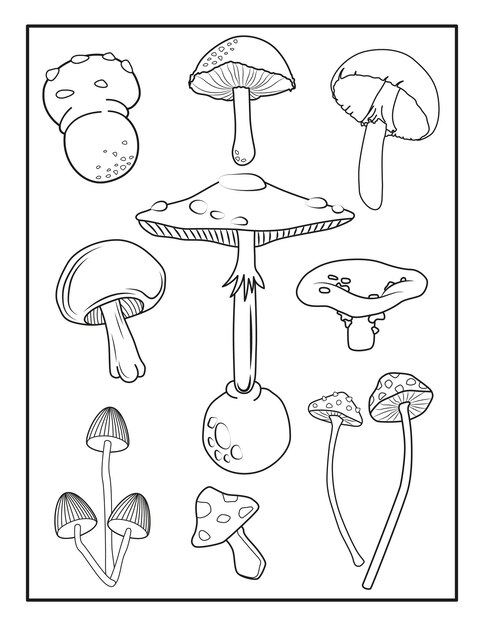 Desenho De Páginas Para Colorir Animado Cogumelo Bonitinho Com Esboço Olhos  Vetor PNG , Desenho De Cogumelo, Desenho De Carro, Desenho De Desenho  Animado Imagem PNG e Vetor Para Download Gratuito